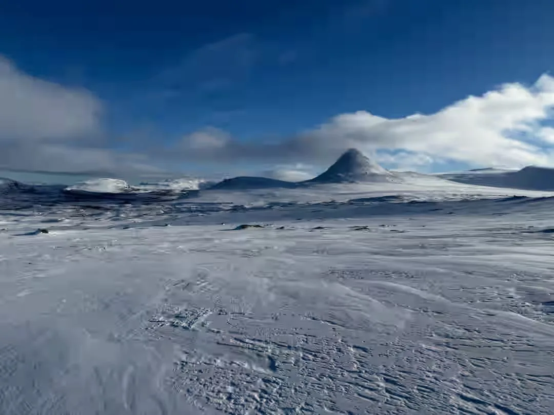 Suusamatk Rootsi Sareki rahvusparki 2026